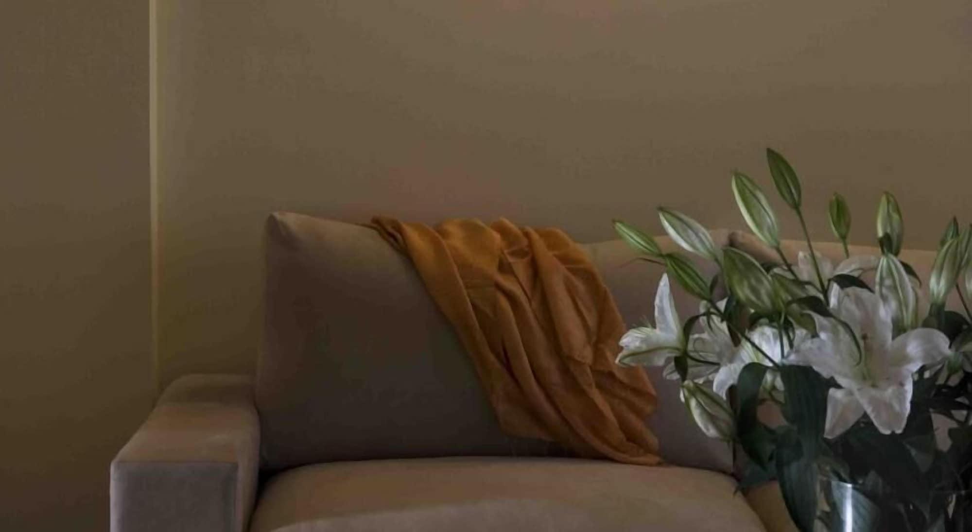Valis Resort Hotel Volos Exterior foto A throw draped over a sofa